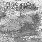 FLESHPRESS / FLESHPRESS