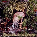 MIXOMATOSIS / RECUENTO DE CADAVERES