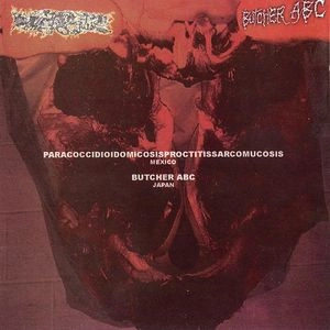 PARACOCCI... / BUTCHER ABC / スプリツト