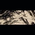 CRISTIANO ROVERSI (PROG) / THE PARK