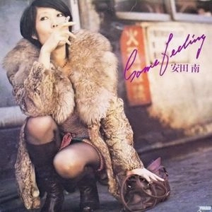MINAMI YASUDA / 安田南 / Some Feeling