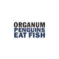 ORGANUM : DAVID JACKMAN / オルガナム/デヴィッド・ジャックマン / PENGUINS EAT FISH