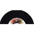 ANTHONY B / アンソニー・ビー / JAH JAH WORLD