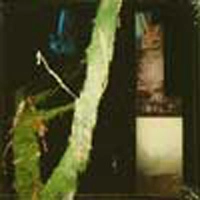 KITES:PRURIENT / カイツ:プルリアント / KITES:PRURIENT