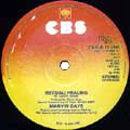 MARVIN GAYE / マーヴィン・ゲイ / (SEXUAL)HEALING