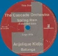 CASCADE ORCHESTRA + ANJELIQUE KIDJO / SPRING RAIN + BATONGA