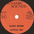 CAPTAIN SKY / キャプテン・スカイ / SUPER SPORM