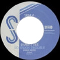 SHAWN LEE / ショーン・リー / SO MUCH TROUBLE