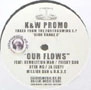 KNOWLEDGE & WISDOM / OUR FLOWS
