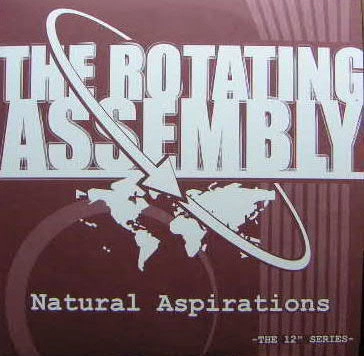 THEO PARRISH WITH ROTATING ASSEMBLY / セオ・パリッシュ・ウィズ・ローテーティング・アセンブリー / NATURAL ASPIRATIONS PT.2