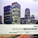 V.A. / SOULFUL BEHAVIOUR 2