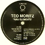 TEO MORITZ / RAW ELEMENTS