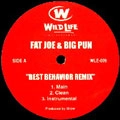 FAT JOE & BIG PUN / BEST BEHAVIOR REMIX