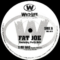 FAT JOE / ファット・ジョー / MY BAD