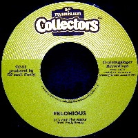 FELONIOUS / IT'S NOT THE SAME