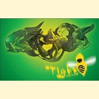 刃頭 (DJ HAZU) / ＴＩＧＨＴ　Ｖｏｌ．８