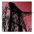 HARRIS NEWMAN / ハリス・ニューマン / ACCIDENTS WITH NATURE AND EARTH OTHER