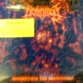 DEATHGUY / CONCENTRATE THE ANNNIHILATION