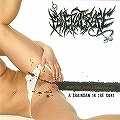 FUNERAL RAPE / フューネラル・レイプ / CHAINSAW IN THE CUNT