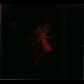 S.V.E.S.T. / URFAUST<DIGI>