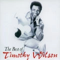 TIMOTHY WILSON / ティモシー・ウィルソン / BEST OF TIMOTHY WILSON