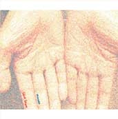 SILENT SPROUT / サイレントスプラウト / ＨＡＮＤ（ＣＤＲ）