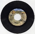 RICHIE STEPHENS / リッチー・ステファンス / NO PLAY THING