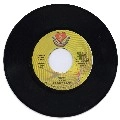 PERFECT / パーフェクト / FI WI JAM ROCK