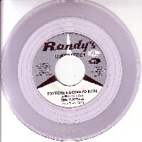 MAYTALS / メイタルズ / SOMEONE'S GOING TO BAWL