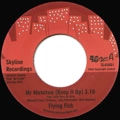 FLYING FISH / フライング・フィッシュ / MR MATATWE(KEEP IT UP) + ARMOND'S THEME