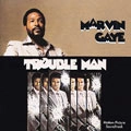 MARVIN GAYE / マーヴィン・ゲイ / TROUBLE MAN(180GRAM)
