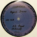 S.B. PROJECT / BEYOND BINARIES