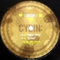CYBIN / DESERT STORM/DUBWISE
