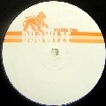 UNKNOWN / DUBWIZE VOL.2(DUBWIZE SELECTION/GUN LION)