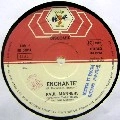 PAUL MANNERS / ENCHANTE