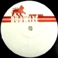 UNKNOWN / DUBWIZE VOL.3(HAUL & PULL UP/LION DUB)