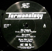 TERMANOLOGY / ターマノロジー / 22 YEARS
