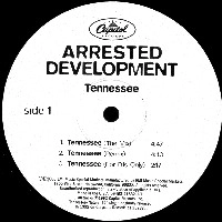ARRESTED DEVELOPMENT / アレステッド・デヴェロップメント / TENNESSEE