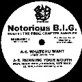 THE NOTORIOUS B.I.G. / DUETS:THE FINAL CHAPTER SAMPLER