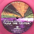 OF MEXICAN DESCENT / PUSH THE SYSTEM