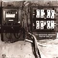 NOCTURNAL EMISSIONS / ノクターナル・エミッションズ / FRUITING BODY