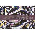 NON TOXIQUE LOST / ノン・トクシーク・ロスト / REICHSTAG LANGE NICHT GEBRANNT (CD-R)