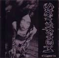 SKITSYSTEM / STIGMATA