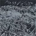 MINDFLAYER (a.k.a. LIGHTNING BOLT) / マインドフライヤー / EXPEDITION TO THE HAIRIER