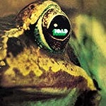TOAD / トード / TOAD