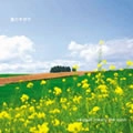 seagull meets the sunn / シーガルミーツザサン / 通りすがり（ＣＤＲ）