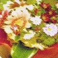 plum sauce / ｃｏｌｏｒｆｕｌ（ＣＤＲ）