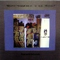 SADAR BAHAR / サダー・バハー / WHAT HAPPENED TO THE MUZIK?