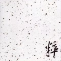 HIROTSUGU SEKIGUCHI / 関口紘嗣 / 粋（壱）
