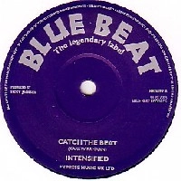 INTENSIFIED / CATCH THE BEAT